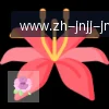 jn江南体育 logo