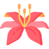 jn江南体育 logo