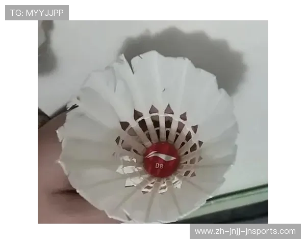 羽毛球球毛的分类